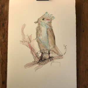 BIRDS & BOTANICALS V