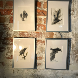 RAVENS III