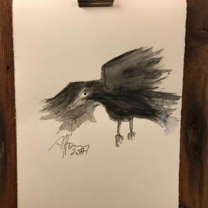 RAVENS IV