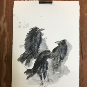 RAVENS V