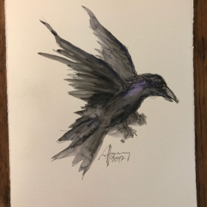 RAVENS VII