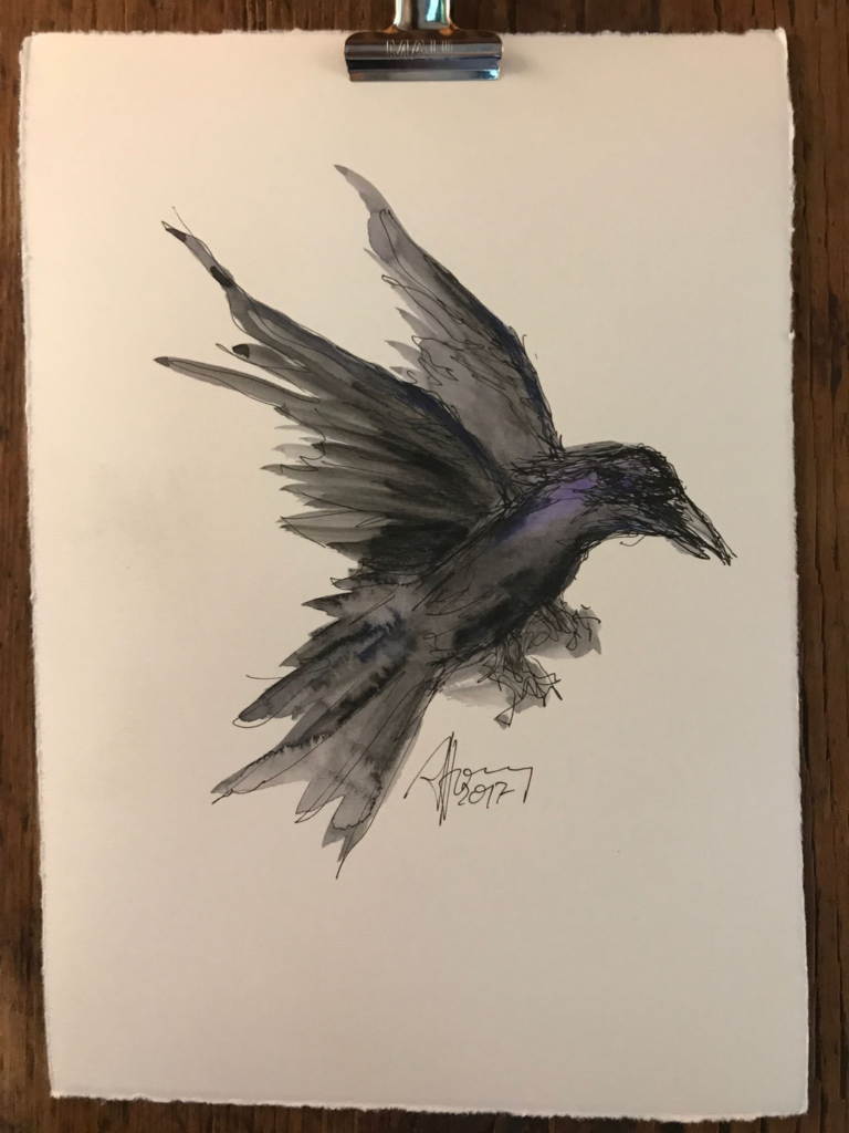RAVENS VII, One-Line-Drawing von Anselm Homey