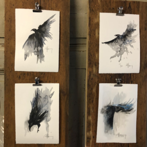 RAVENS VIII